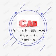 CADγѵѧϰ